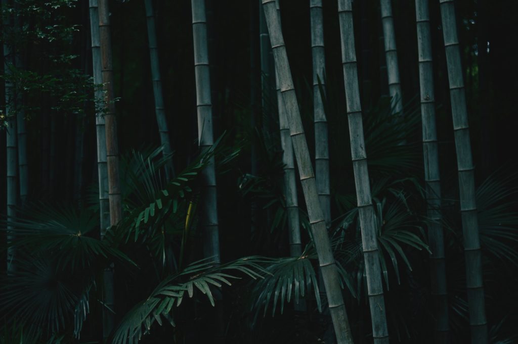 hefel nature bamboo fabric