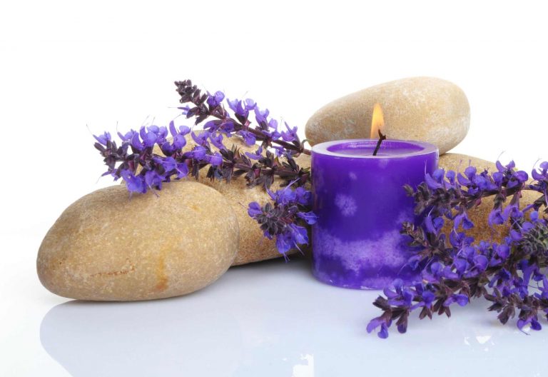 homemade natural lavender bed bug repellent